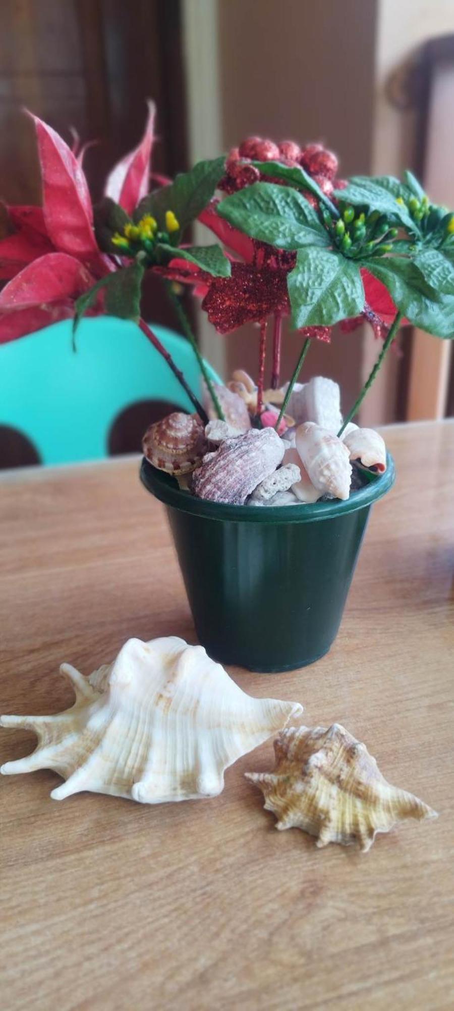 Rna Guesthouse 莫阿尔博阿 外观 照片